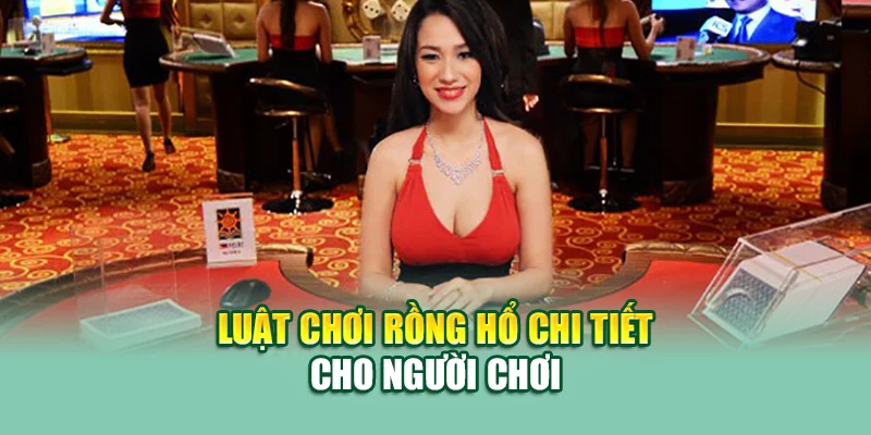 Luật chơi Rồng Hổ chi tiết cho người chơi