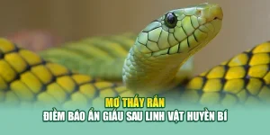 Mơ Thấy Rắn – Điềm Báo Ẩn Giấu Sau Linh Vật Huyền Bí